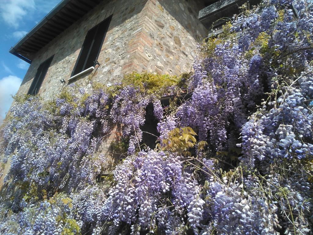 Quercegrossa La Loggia - Villa Gloria -Adults Only المظهر الخارجي الصورة